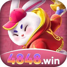 4848win Live Casino Super
