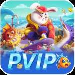 pvip Live Champion v5.2.2